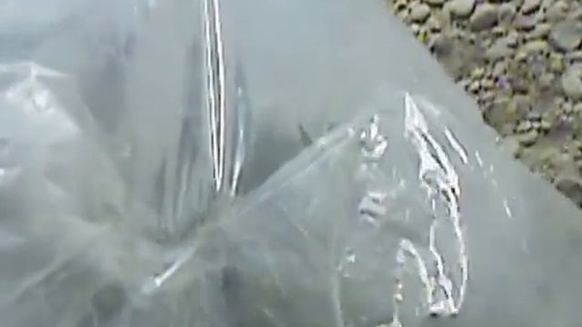 Баня из камней и полиэтилена. смотреть онлайн