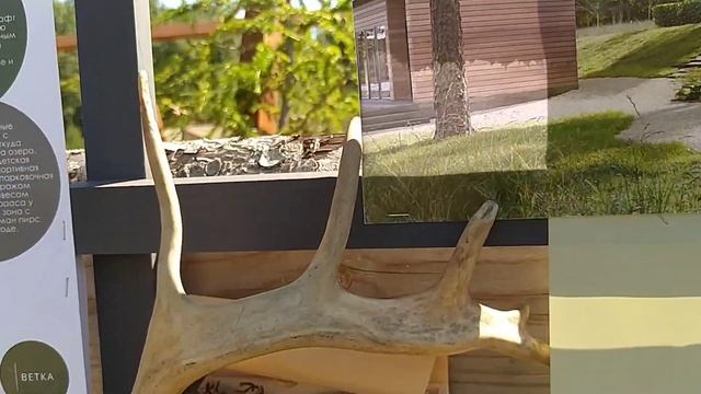 На фестивале гортензий в природном парке "Репейник".Купила гортензию " Pastel Green". смотреть онлайн