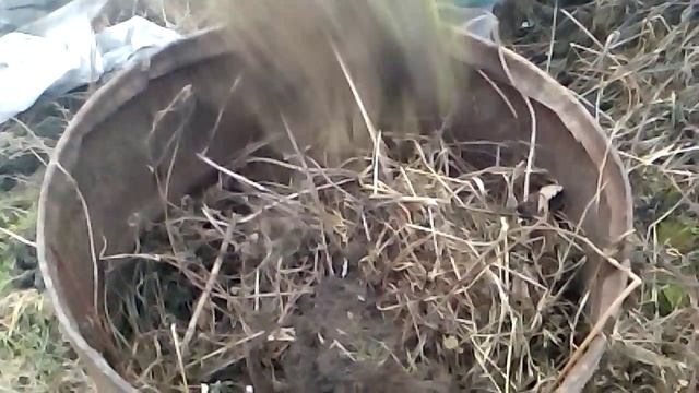 Подготовка тёплой бочки под ранние огурцы смотреть онлайн