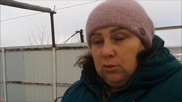 Кормим коров. Купили БВМД Пурина смотреть онлайн