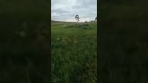 База отдыха на озере Беле экономит на вывозе септика