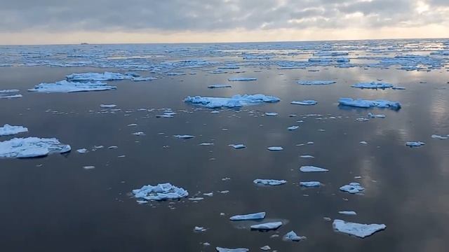 На промысле сельди смотреть онлайн