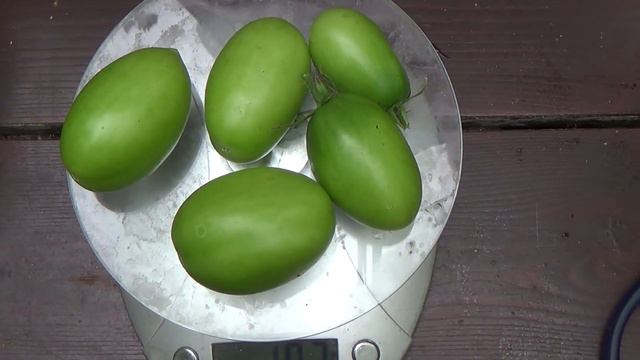 Сравнения выращенных томатов. 2022г. смотреть онлайн