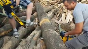 Dewalt DCCS672 vs DCCS670 - DCM575 Chainsaw Dewalt Цепна пила Деволт