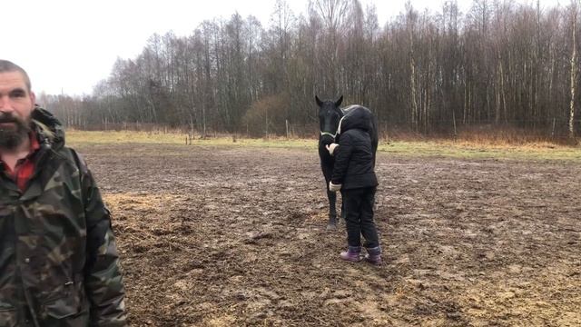 Рассказ про нашего коня ТАМИЛЯ смотреть онлайн