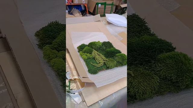 Картина мох на заказ.