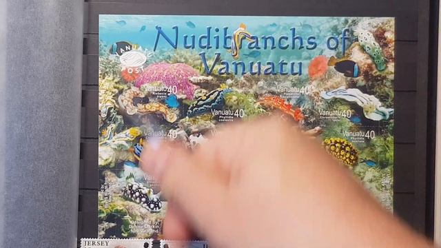 Фауна. Морской альбом ч.2