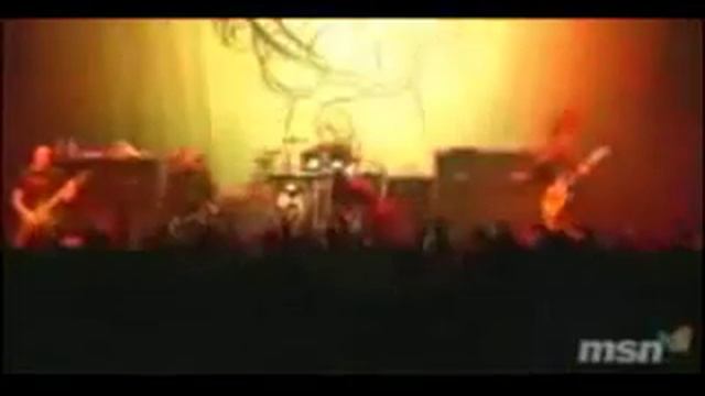 Terry Balsamo's Birthday - 2010 смотреть онлайн