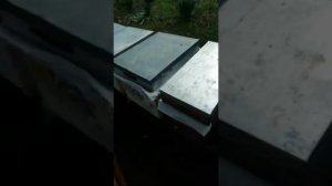 Маркировка пасеки. ТУРЕЦКИЙ BEE