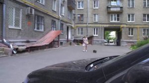 Детективы. Барышня с собачкой