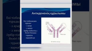 "Антиденелердің құрылысы мен құрылымы" Ы.Алтынсарин атындағы орта мектебінің мұғалімі Г.Булутбаева