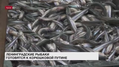 Ленинградские рыбаки готовятся к корюшковой путине