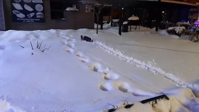 Зимняя сказка с Джек-расселом -II смотреть онлайн