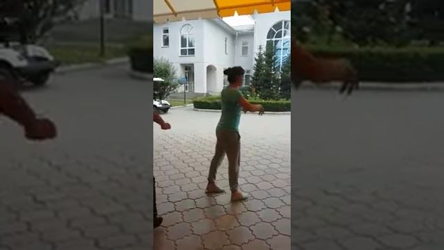 Мини диско крейзи фрог смотреть онлайн