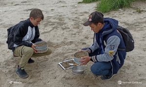 Томские биологи проверяют, насколько безопасен берег озера Сенная Курья