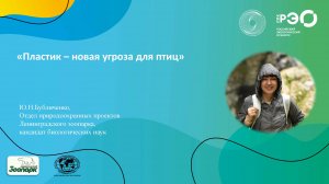 "Птицы и пластик. Формирование экокультуры и вклад в науку"