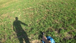 Манок Минск сравнение с другими  электроманками