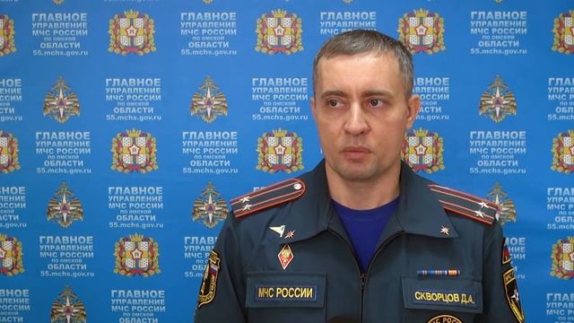 Заместитель начальника главного управления мчс
