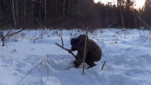 Охота на бобра Зимой.Сезон 19/20.  Проверка капканов на Бобра и Куницу.