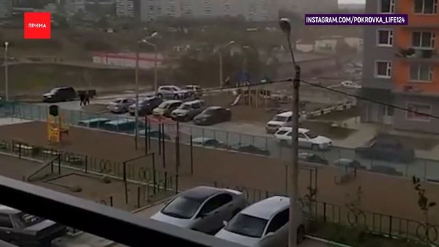 В городе устраняют последствия сильного ветра смотреть онлайн