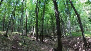 БОЛЬШАЯ СЕВАСТОПОЛЬСКАЯ ТРОПА. ОДИНОЧНЫЙ ПОХОД. КРЫМ 2021. ЧЕТВЕРТАЯ СЕРИЯ.