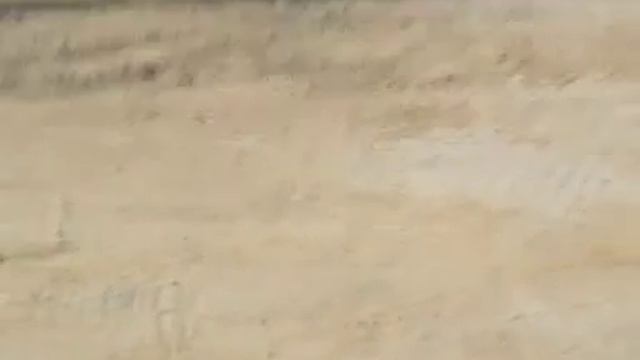 Air Berlin B73G Departure in Djerba/Zarzis смотреть онлайн