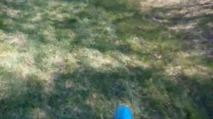 Трицикл с мотором от бензопилы.  Возможно последние видео про него.