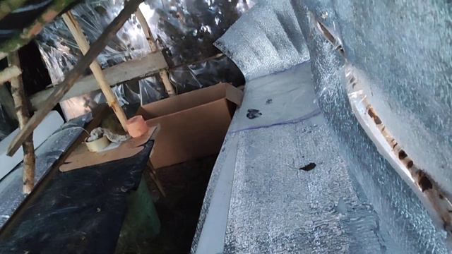 Пошел это значит я за ёлкой! смотреть онлайн