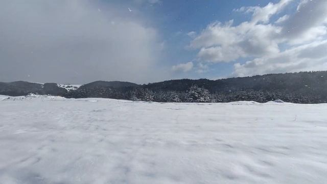 Зимний поход семьей, санки, лыжи. Гора Витоша, София, Болгария. Vitosha ski mountain park, Bulgaria смотреть онлайн