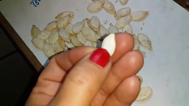 Семена своими руками))#Деревенскоесело смотреть онлайн