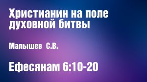 Христианин на поле духовной битвы | Малышев С.В.