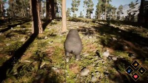 Wilderness Обзор геймплей