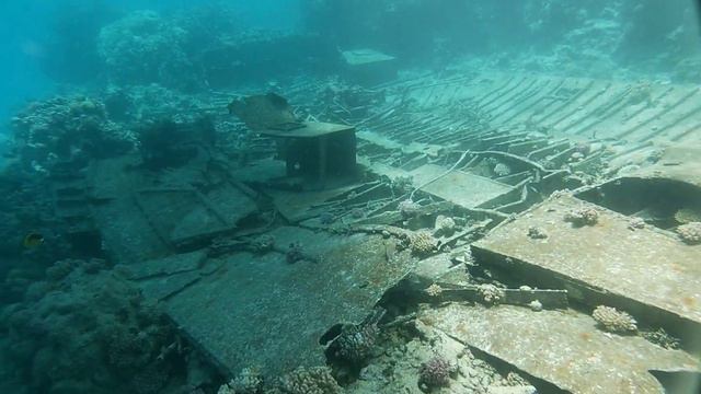Красное море! Хургада! Коралловый риф! Дайвинг! Морская прогулка! Египет! Развлечения Египта!