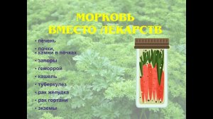 Морковь