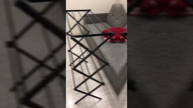 Обзор сушилки для белья Сушка