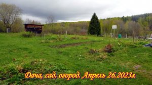 Сад, огород, дача. Часть №21. ... а в деревне лучше.