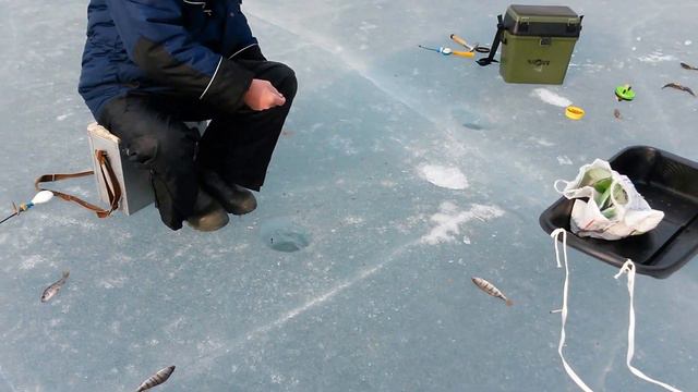 Зимняя рыбалка на Красноярском море (Хакасия) (день 2) 2015 смотреть онлайн