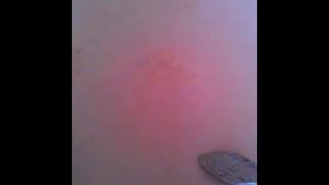 сосиски смотреть онлайн