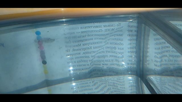 Неон красный первый нерест .(Cardinal tetra) смотреть онлайн