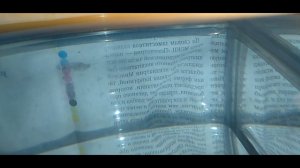 Неон красный первый нерест .(Cardinal tetra)