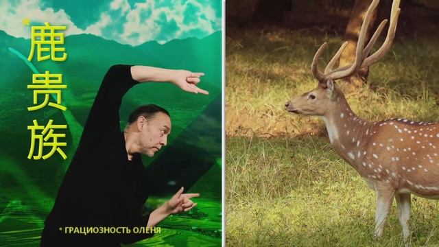 Классно быть здоровым смотреть онлайн