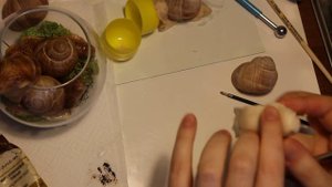 Лепим улитку из холодного фарфора