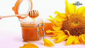 Мед - самый эффективный способ лечения | Полезные свойства Меда #здоровье #мёд