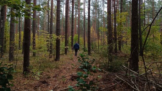 Лесной ЗВЕРЬ  поселился возле землянки и требует еду | приготовил ФОРЕЛЬ в коптилке на костре.