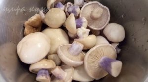 ✅МАРИНОВАННЫЕ ГРИБЫ. Рецепт ПОДХОДИТ для РАЗНЫХ видов ГРИБОВ. Синеножка.