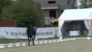 Фулл Плеже.ЧР Новый Век СП1.2024