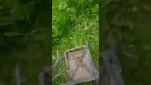 Газонокосилка из детской коляски и болгарки.