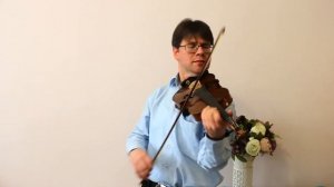 Богемская скрипка XIX века Armando 2