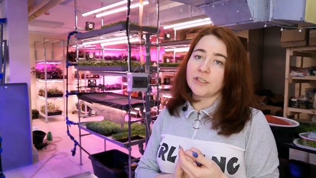 На чем лучше выращивать #микрозелень Обзор материалов для выращивания: субстрат, коврики, #агроват смотреть онлайн