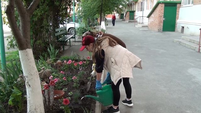 Ухоженный двор смотреть онлайн